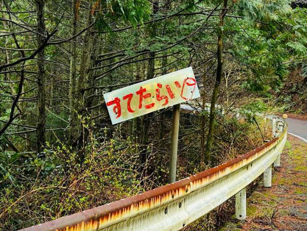 山中のカーブ途中にあった看板　意味を理解すると「よそ見してしまいそうだ！」