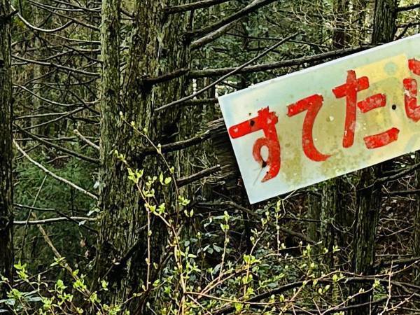 山中のカーブ途中にあった看板　意味を理解すると「よそ見してしまいそうだ！」