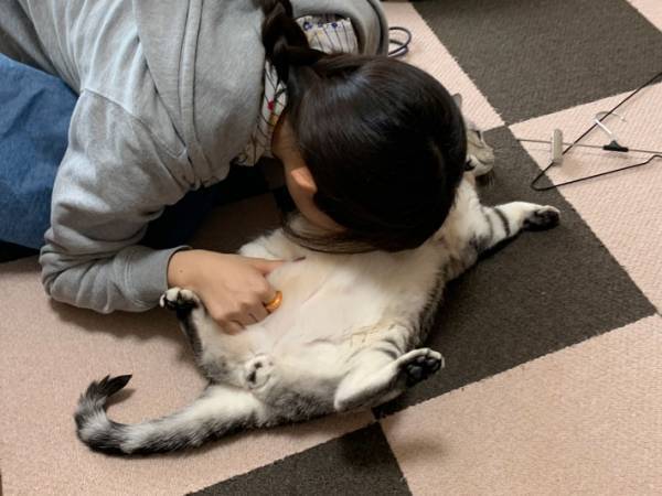 進学で離れ離れになる１人と１匹　実家の家族が目にした猫の姿に「切ない」