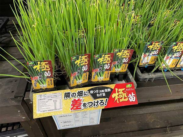 「ネギを育てる時のテンションって…」　胸アツなキャッチコピーが話題に