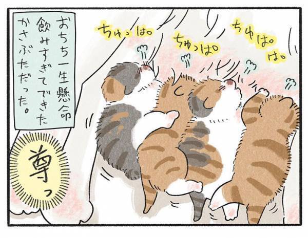 どうしてケガしたの！？　子猫全匹に『かさぶた』があるワケに「かわいい」