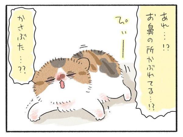 どうしてケガしたの！？　子猫全匹に『かさぶた』があるワケに「かわいい」
