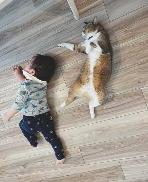 駄々をこねる息子の横で、あおっていたのは？　「笑った」「コレはいい写真」