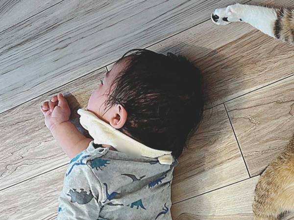 駄々をこねる息子の横で、あおっていたのは？　「笑った」「コレはいい写真」