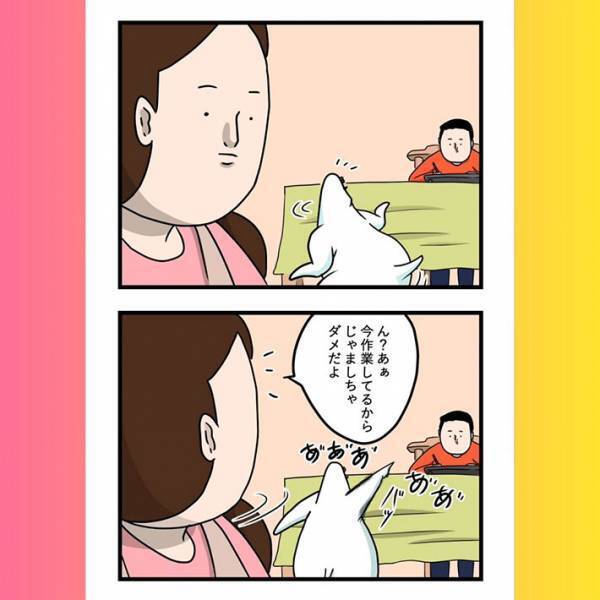 飛ぶのが面倒くさいインコ　まさかの行動に「鳥やめたの？」