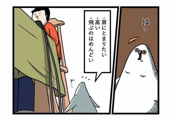 飛ぶのが面倒くさいインコ　まさかの行動に「鳥やめたの？」