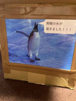 珍しすぎるお土産に大興奮！　ダンボールの中に入っていたものの正体は…