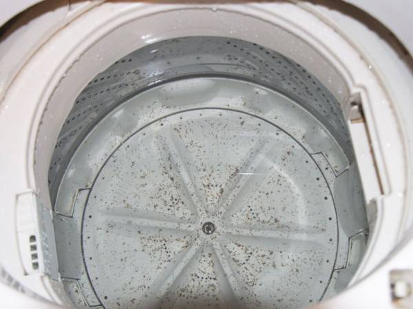 何コレかつお節…！？　ひさびさに洗濯機の給水ホースを掃除をしてみた結果が恐ろしい