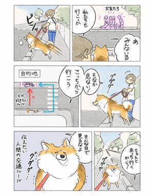 「危ない！こっちから行こう！」　人間の交通ルールを知らない犬　誘導する飼い主に対し？