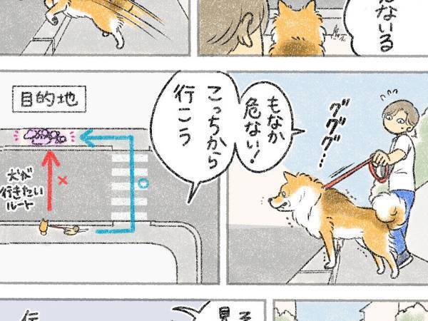 「危ない！こっちから行こう！」　人間の交通ルールを知らない犬　誘導する飼い主に対し？