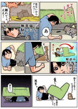 猫が潰されそう！「危ない」「離れてぇええ！」と叫んでも無駄なので？