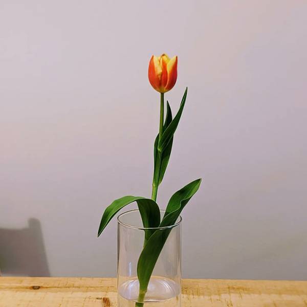 １歳息子とエレベーターに乗っていると？　女性が郵便物の宛名をじっと見てきて…