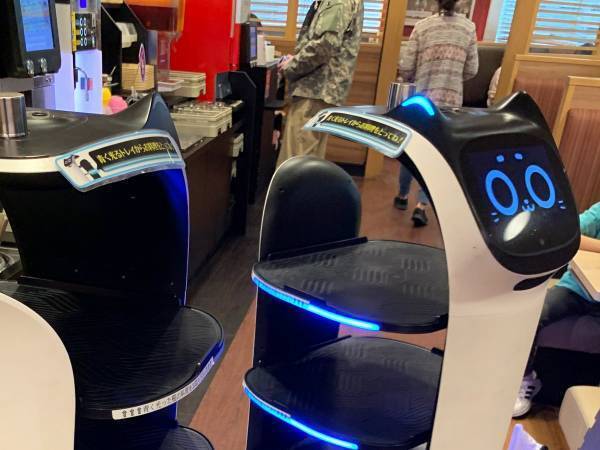 飲食店でケンカする『猫型ロボ』　行動に「人間かよ！」「この場に遭遇したい！」