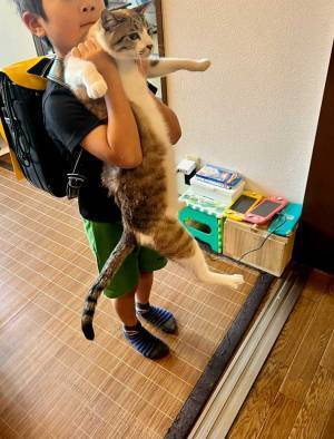 登校前の小学１年生に、ツッコミ続出！　「待て待て待てい」「笑ってしまった」