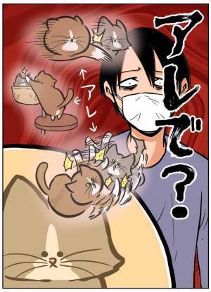 「ストレスが全くなさそうですね！」　獣医師のひと言に、飼い主が疑問を抱いたワケが…