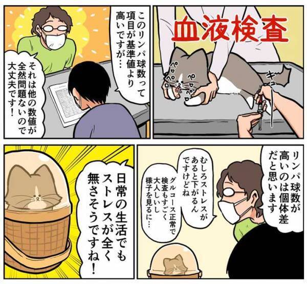 「ストレスが全くなさそうですね！」　獣医師のひと言に、飼い主が疑問を抱いたワケが…