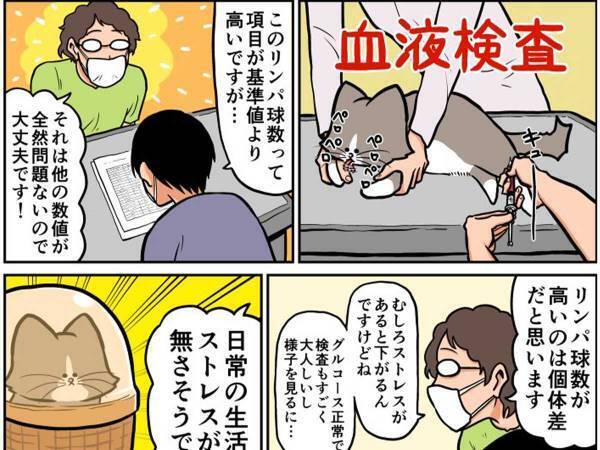 「ストレスが全くなさそうですね！」　獣医師のひと言に、飼い主が疑問を抱いたワケが…