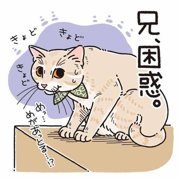 赤ちゃんと目が合った猫が…？　反応に「尊い」「頑張れ～！」