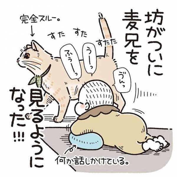 赤ちゃんと目が合った猫が…？　反応に「尊い」「頑張れ～！」