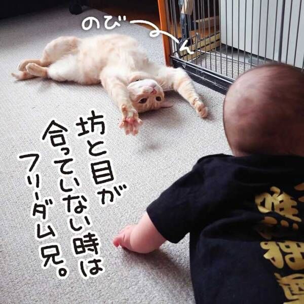 赤ちゃんと目が合った猫が…？　反応に「尊い」「頑張れ～！」