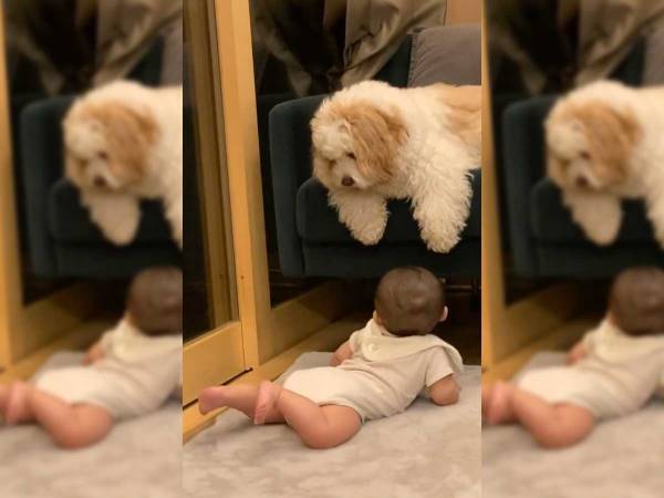 「たまらん」　必死に握手を求める女の子　対する態度は『塩対応』で…