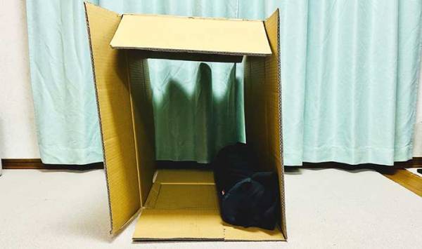 「ちょっと足りない…」　ダンボールのサイズを『ピッタリにする方法』を覚えておくと便利！