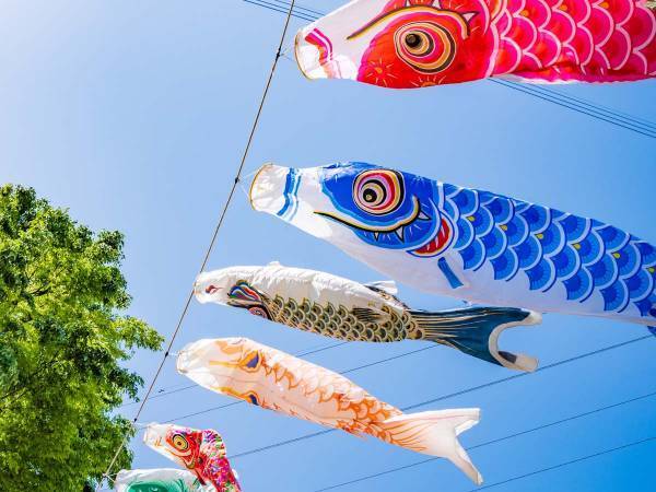 爽やかな風が吹く季節　古くから、時候の挨拶に使われてきた『薫風』という言葉