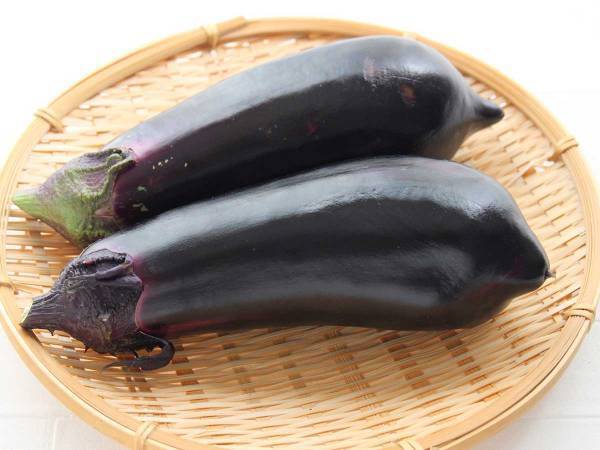 「ETCサービス解約します」　迷惑メールに挟まれた『謎の一文』が話題に