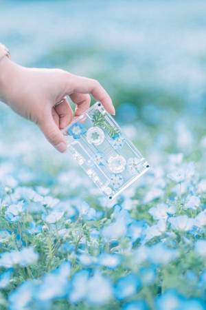 「透明感が素敵すぎて…」　カセットテープと『あの花』を組み合わせてみた