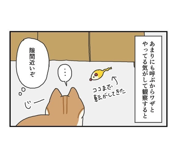 おもちゃで遊ぶ猫のしぐさに「確信犯」の声　ついつい許しちゃうかわいい「癖」とは？