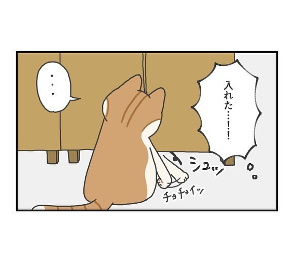 おもちゃで遊ぶ猫のしぐさに「確信犯」の声　ついつい許しちゃうかわいい「癖」とは？