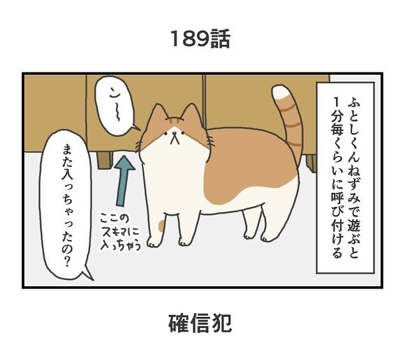 おもちゃで遊ぶ猫のしぐさに「確信犯」の声　ついつい許しちゃうかわいい「癖」とは？