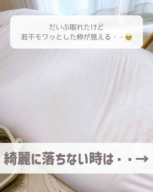 ソファに付いた、お茶の『シミ』　簡単な落とし方に「知りたかったやつ」「真似します！」