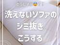 ソファに付いた、お茶の『シミ』　簡単な落とし方に「知りたかったやつ」「真似します！」