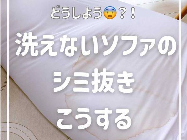 ソファに付いた、お茶の『シミ』　簡単な落とし方に「知りたかったやつ」「真似します！」