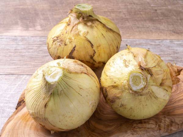 新玉ねぎの炊き込みご飯、塩昆布をちょい足しすると？　「絶対にうまい」「やってみる！」