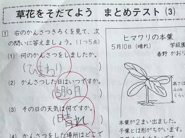 小学生の『珍解答』に先生ツッコミ！　光るセンスに「外で見ちゃダメなやつ」「シュールで吹いた」