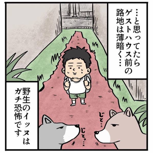 「この瞬間の安心感といったら」　海外の格安ゲストハウスで出会ったオーナーが？