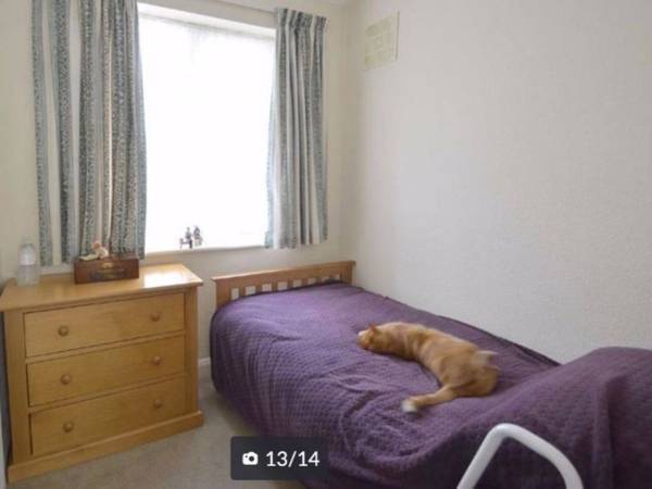 隣人が自宅を売却したらしい　興味本位で不動産サイトを見ていたら？　「笑った」「あるある」