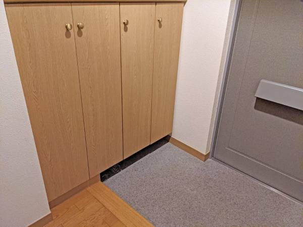 玄関収納を活用した朝の身支度スピードアップ術に「便利」「すごくきれい」