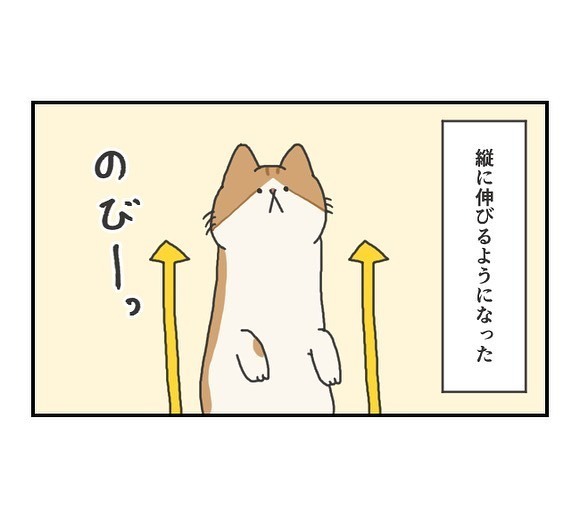 テーブルの上を覗きたい猫　アレそっくりな姿に「はい、かわいい」「安定感すごい」