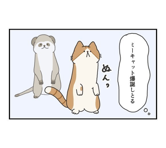 テーブルの上を覗きたい猫　アレそっくりな姿に「はい、かわいい」「安定感すごい」