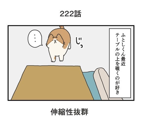 テーブルの上を覗きたい猫　アレそっくりな姿に「はい、かわいい」「安定感すごい」