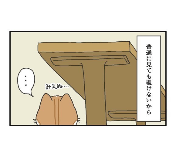 テーブルの上を覗きたい猫　アレそっくりな姿に「はい、かわいい」「安定感すごい」