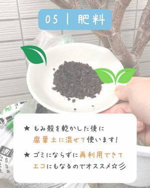 「麦茶パック、もう捨てない！」　使い終わった麦茶パックの意外な活用法