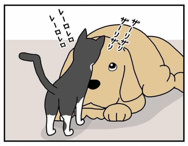 犬の『髪型』をバッチリ決める、カリスマスタイリストの技に「笑った」「様になってる」