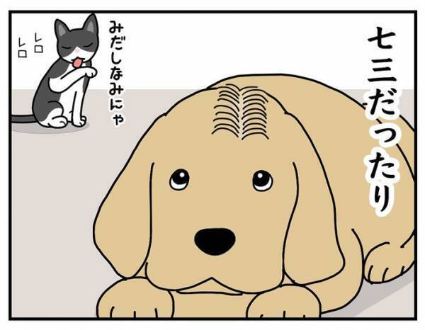 犬の『髪型』をバッチリ決める、カリスマスタイリストの技に「笑った」「様になってる」