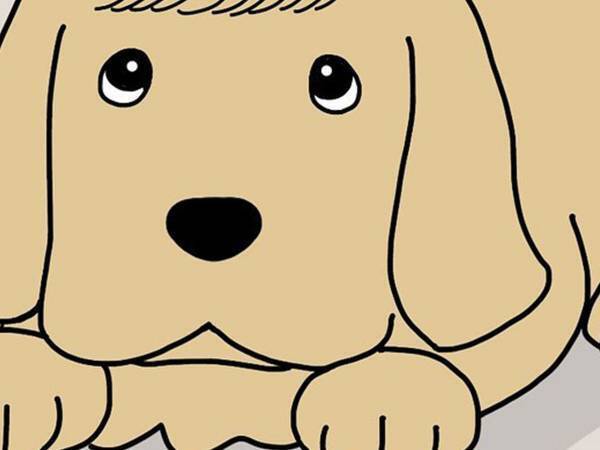 犬の『髪型』をバッチリ決める、カリスマスタイリストの技に「笑った」「様になってる」