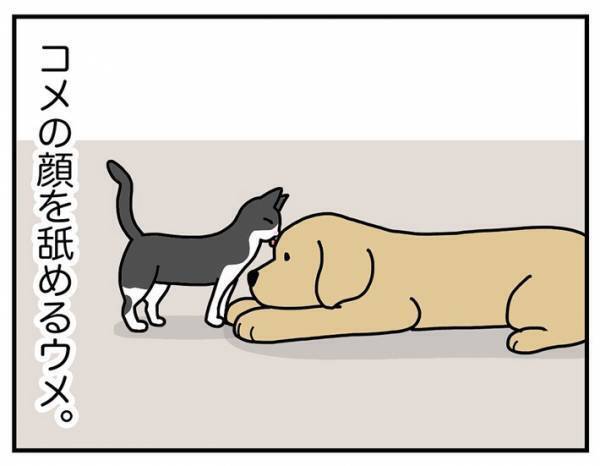 犬の『髪型』をバッチリ決める、カリスマスタイリストの技に「笑った」「様になってる」