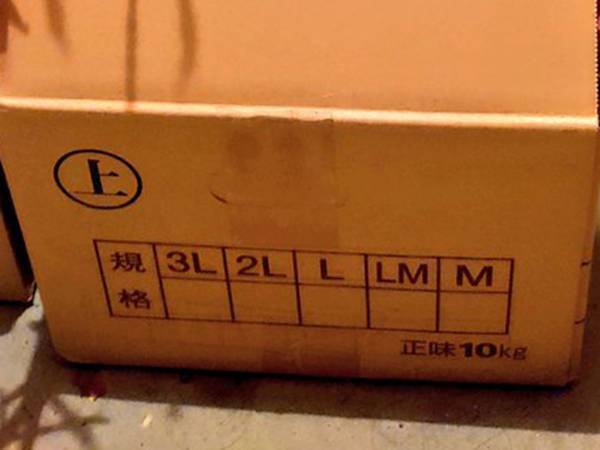 妻は悲鳴をあげ、夫は見惚れた　物置部屋に置きっ放しにしたダンボールから…